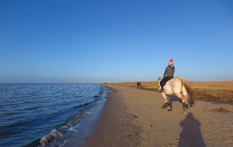 Strand am Rysumer Nacken